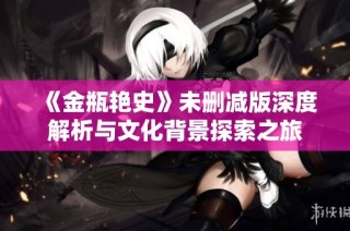 《金瓶艳史》未删减版深度解析与文化背景探索之旅