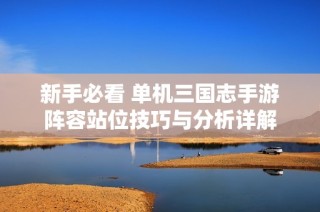 新手必看 单机三国志手游阵容站位技巧与分析详解