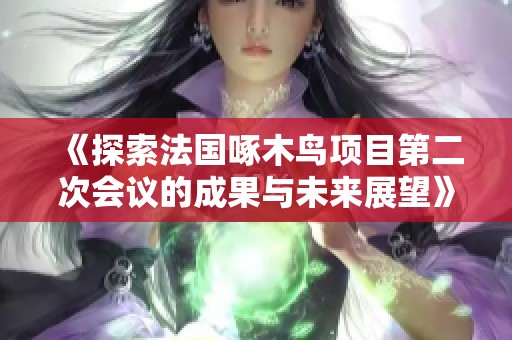 《探索法国啄木鸟项目第二次会议的成果与未来展望》