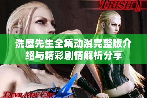 洗屋先生全集动漫完整版介绍与精彩剧情解析分享