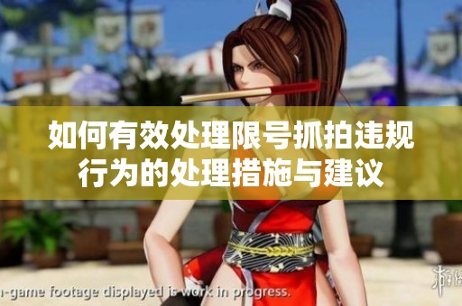 如何有效处理限号抓拍违规行为的处理措施与建议