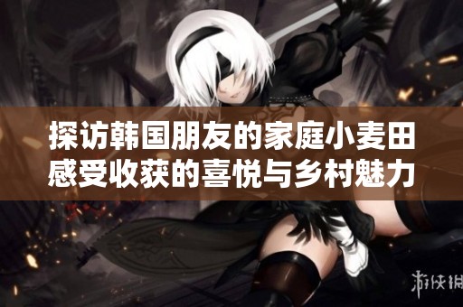 探访韩国朋友的家庭小麦田感受收获的喜悦与乡村魅力