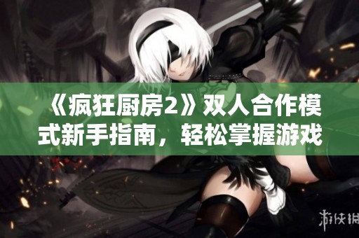 《疯狂厨房2》双人合作模式新手指南，轻松掌握游戏技巧与胜利秘诀