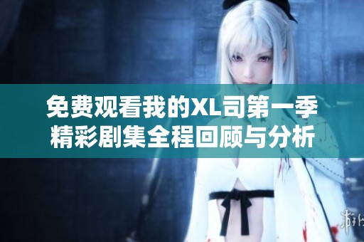 免费观看我的XL司第一季精彩剧集全程回顾与分析
