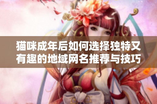 猫咪成年后如何选择独特又有趣的地域网名推荐与技巧