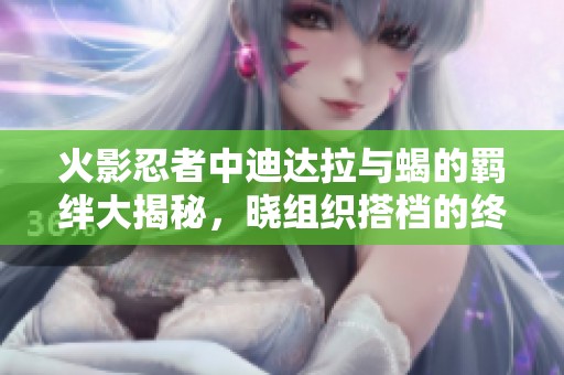 火影忍者中迪达拉与蝎的羁绊大揭秘，晓组织搭档的终极对决