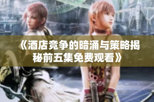 《酒店竞争的暗涌与策略揭秘前五集免费观看》